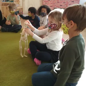 Human Body Workshop