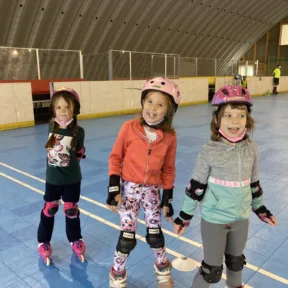Inline course