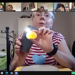 Online Teaching