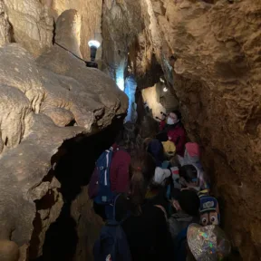 Sleepover and Trip Y1