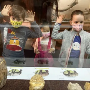 Trip to Museum