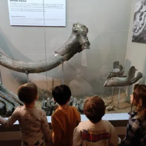 Trip to Museum