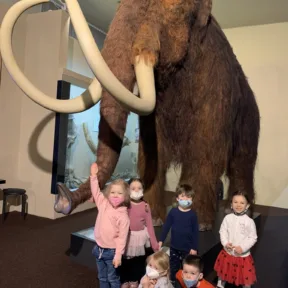 Trip to Museum