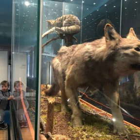 Trip to Museum