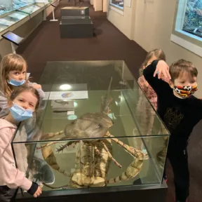 Trip to Museum