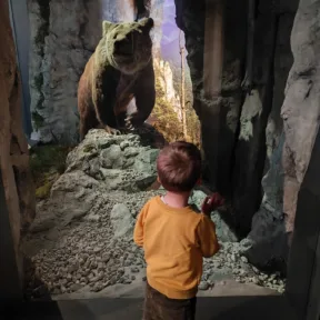 Trip to Museum