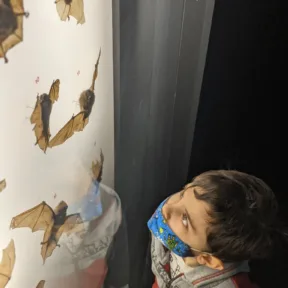 Trip to Museum