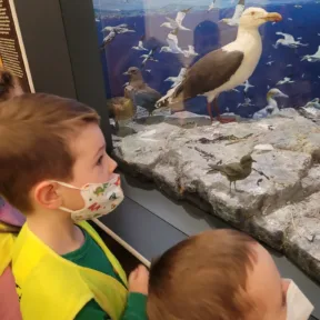Trip to Museum