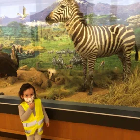 Trip to Museum