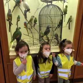 Trip to Museum
