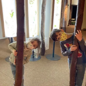 Trip to Museum