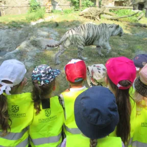 Zoo