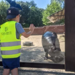 Zoo