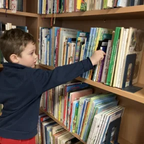 All about the books