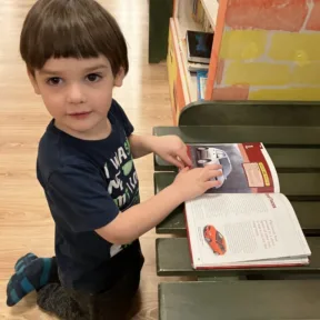 All about the books