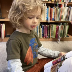 All about the books