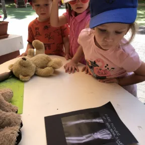 Community Helpers