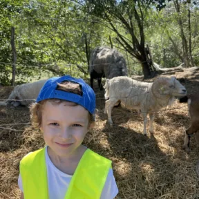 Farm trip