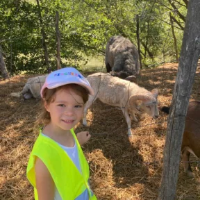 Farm trip