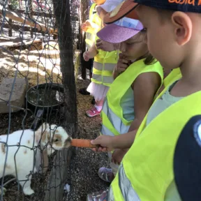 Farm trip