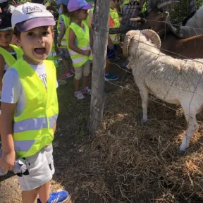 Farm trip