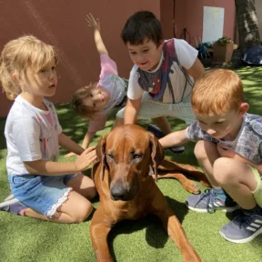 Pet Show