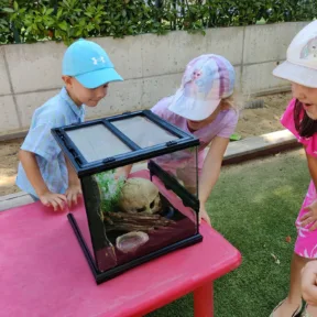 Pet Show