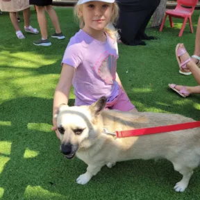 Pet Show