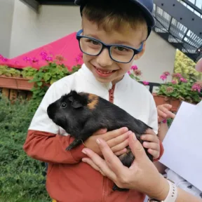 Pet Show