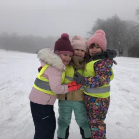 Sledging