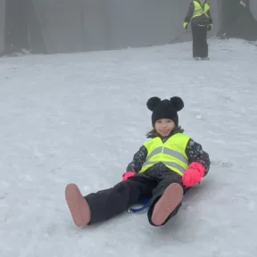 Sledging