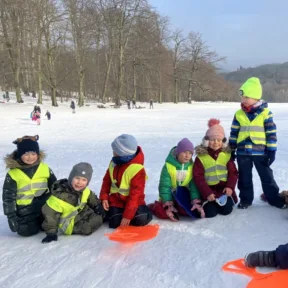 Sledging