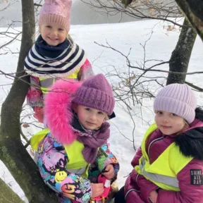 Sledging