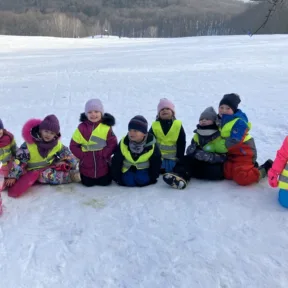 Sledging
