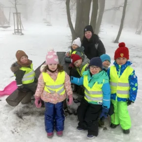 Sledging
