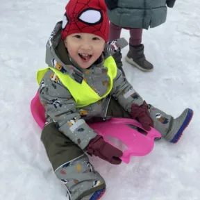 Sledging