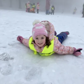 Sledging