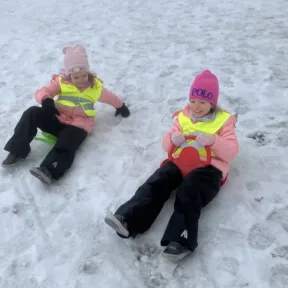 Sledging