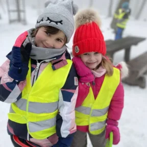 Sledging