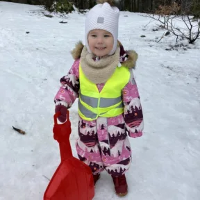 Sledging