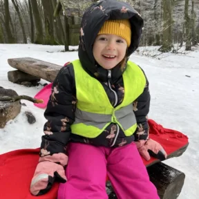 Sledging