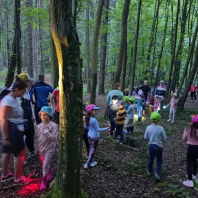 Summer Camp