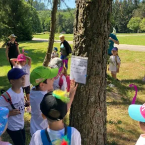 Summer Camp