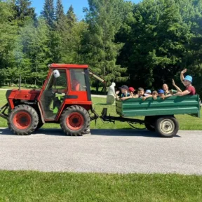 Summer Camp