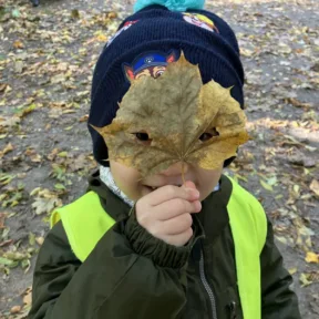 Autumn Colours