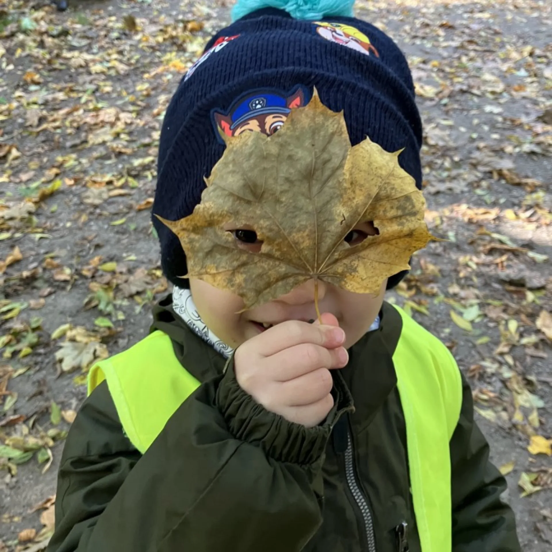 Autumn Colours