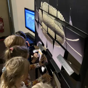 Dinosaur Trip to Museum