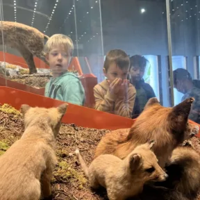 Dinosaur Trip to Museum