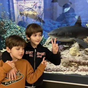 Dinosaur Trip to Museum