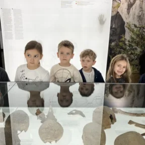 Dinosaur Trip to Museum